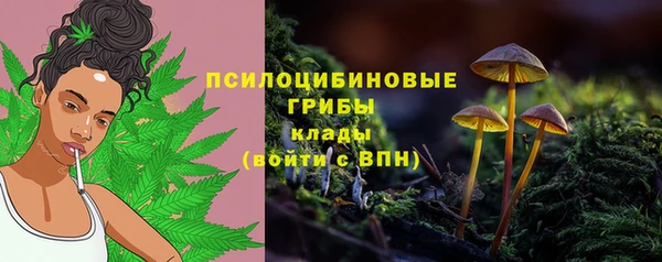 гидра Куйбышев